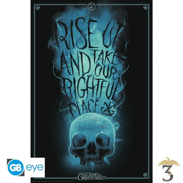 POSTER RISE UP - Les Trois Reliques, magasin Harry Potter - Photo N°1