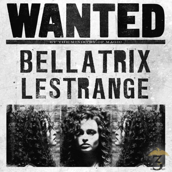 Poster Wanted Bellatrix - MinaLima - Les Trois Reliques, magasin Harry Potter - Photo N°3