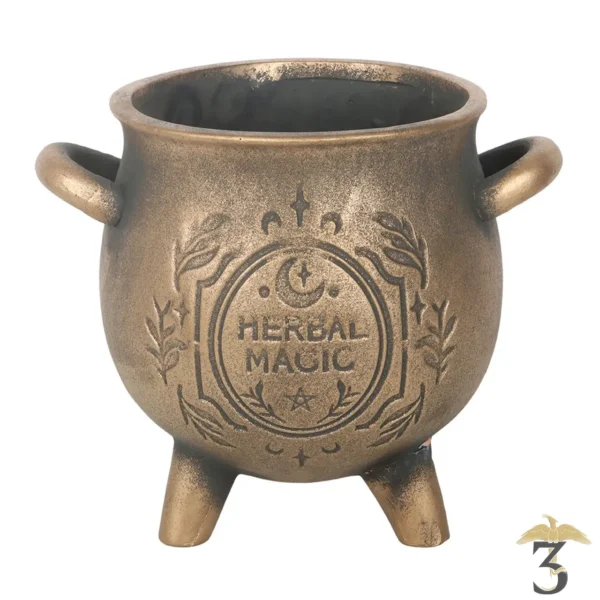 pot chaudron herbal magic en terre cuite – green witch - Les Trois Reliques, magasin Harry Potter - Photo N°1