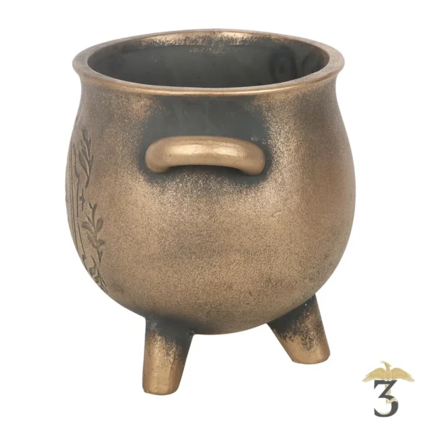 pot chaudron herbal magic en terre cuite – green witch - Les Trois Reliques, magasin Harry Potter - Photo N°3