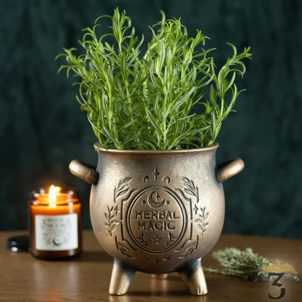 pot chaudron herbal magic en terre cuite – green witch - Les Trois Reliques, magasin Harry Potter - Photo N°4