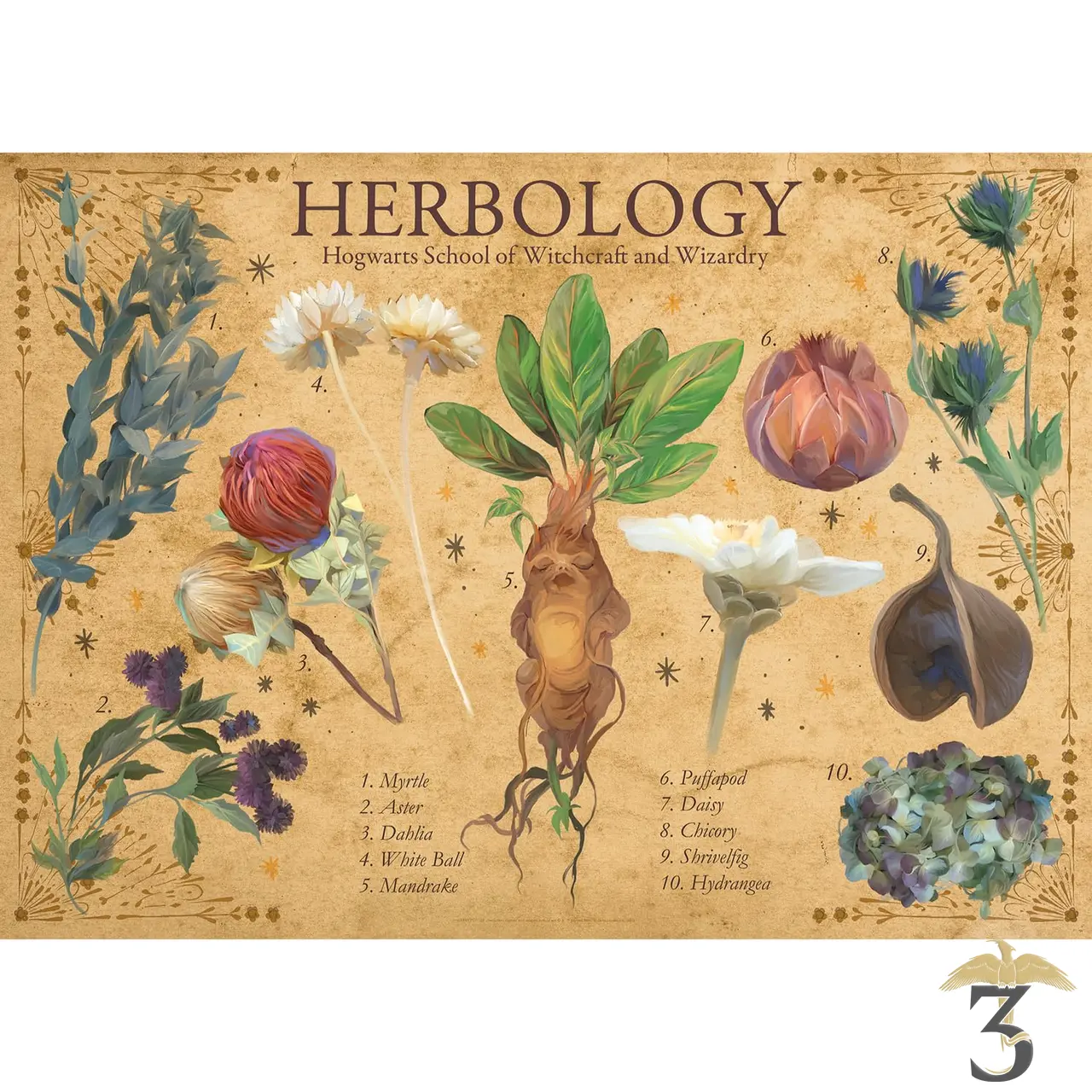 Puzzle harry potter herbology 1000pcs - Les Trois Reliques, magasin Harry Potter - Photo N°2