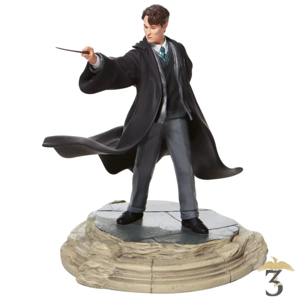 STATUE TOM RIDDLE - Les Trois Reliques, magasin Harry Potter - Photo N°1