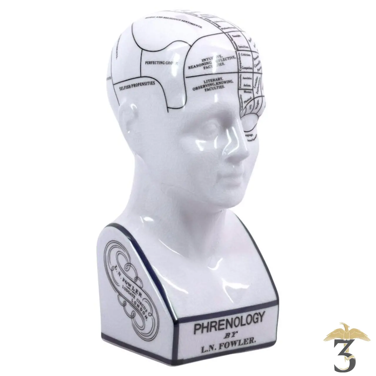 Tête phrénologique petite - Les Trois Reliques, magasin Harry Potter - Photo N°1