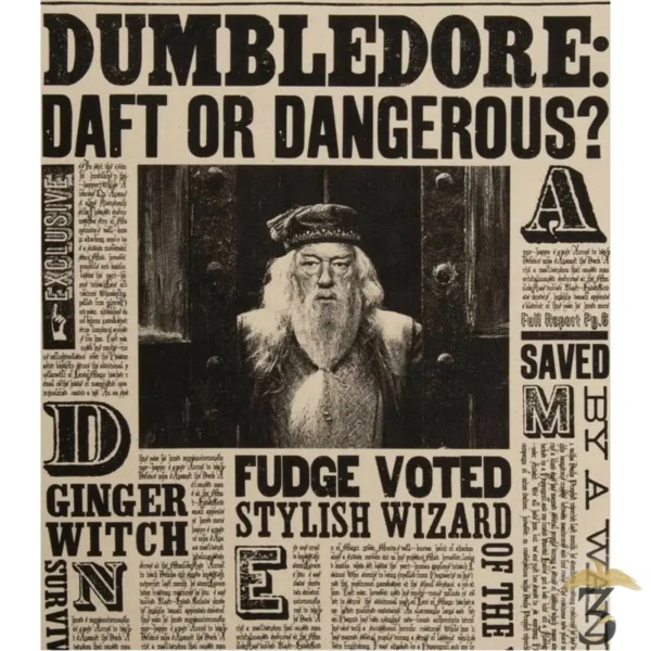 TORCHON DUMBLEDORE DAFT OR FANGEROUS - Les Trois Reliques, magasin Harry Potter - Photo N°2