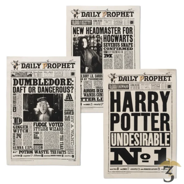 TORCHON UNDESIRABLE NO.1 - Les Trois Reliques, magasin Harry Potter - Photo N°3